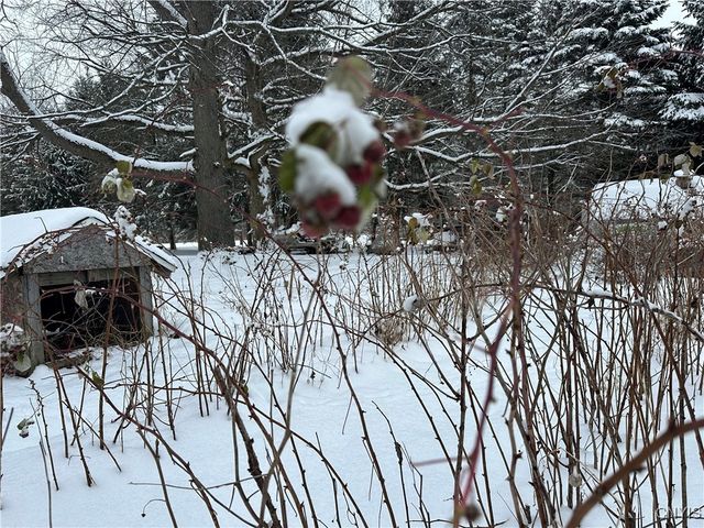 1218 Hard Point Road, Conquest, NY 13140