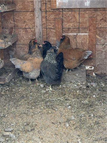 1218 Hard Point Road, Conquest, NY 13140