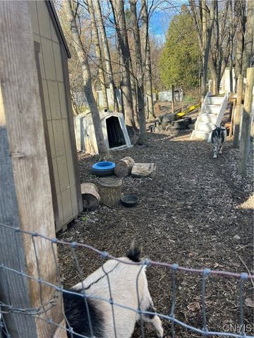 1218 Hard Point Road, Conquest, NY 13140