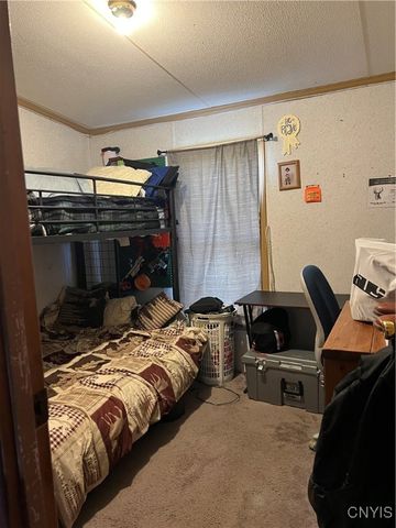 1218 Hard Point Road, Conquest, NY 13140