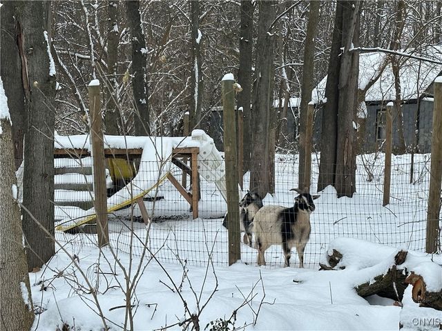 1218 Hard Point Road, Conquest, NY 13140