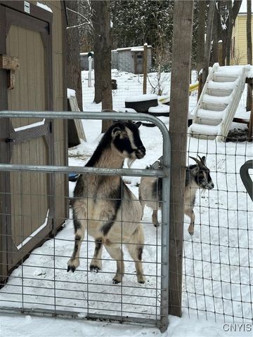 1218 Hard Point Road, Conquest, NY 13140