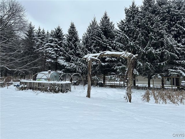 1218 Hard Point Road, Conquest, NY 13140