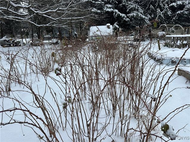 1218 Hard Point Road, Conquest, NY 13140