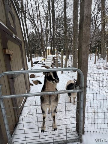 1218 Hard Point Road, Conquest, NY 13140