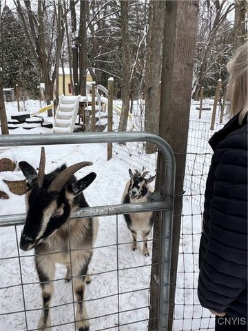 1218 Hard Point Road, Conquest, NY 13140