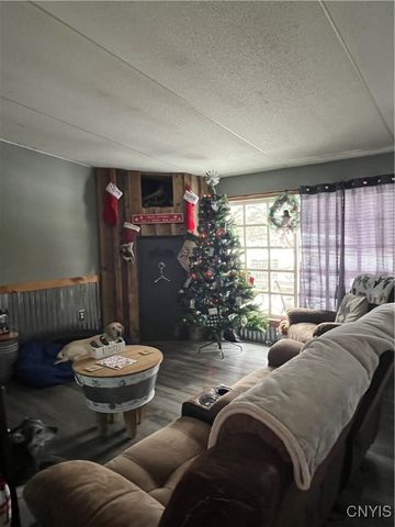 1218 Hard Point Road, Conquest, NY 13140