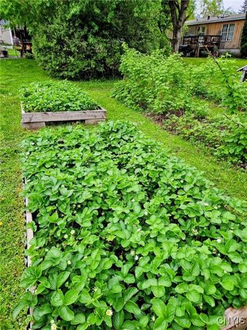 1218 Hard Point Road, Conquest, NY 13140