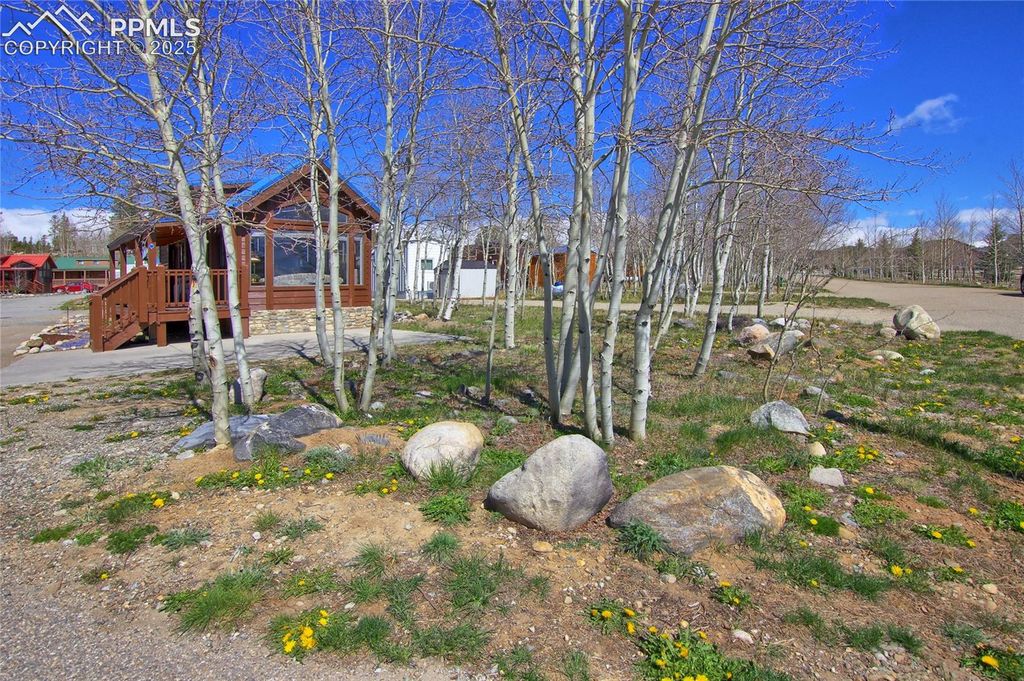 65 Sunshine Loop, Fairplay, CO 80440 — photo 5