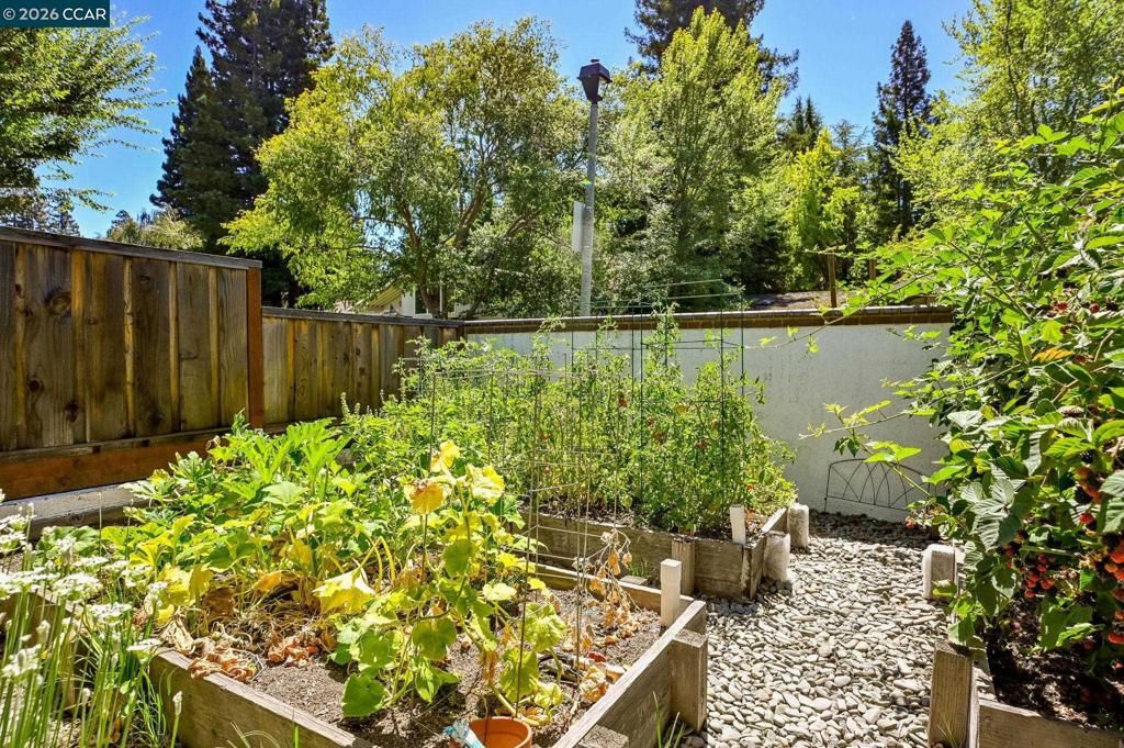 Image 49 of property listing at 1023 White Gate Rd, Alamo, CA 94507