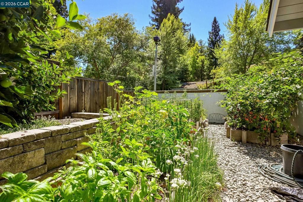 Image 51 of property listing at 1023 White Gate Rd, Alamo, CA 94507