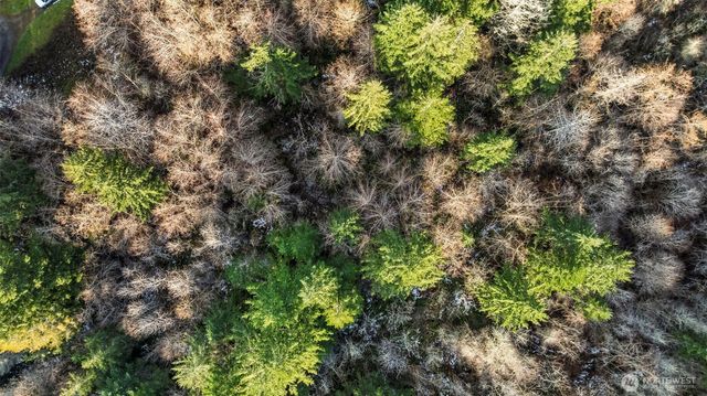 16506 118th Street NW, Gig Harbor, WA 98329