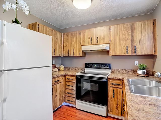 7310 IVORY TERRACE, New Port Richey, FL 34655