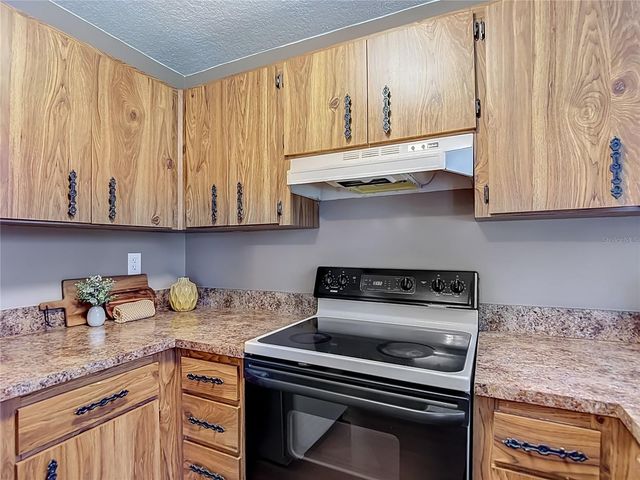 7310 IVORY TERRACE, New Port Richey, FL 34655