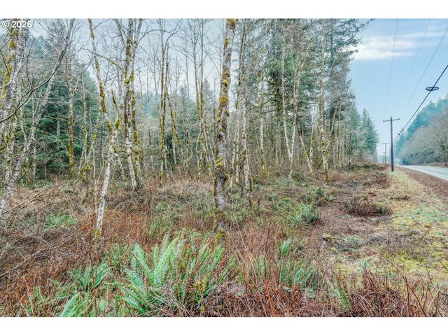 WASHOUGAL RIVER Rd, Washougal, WA 98671