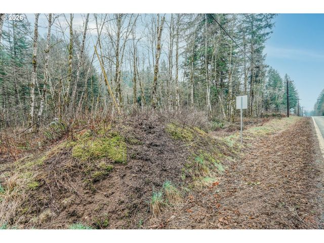 WASHOUGAL RIVER Rd, Washougal, WA 98671