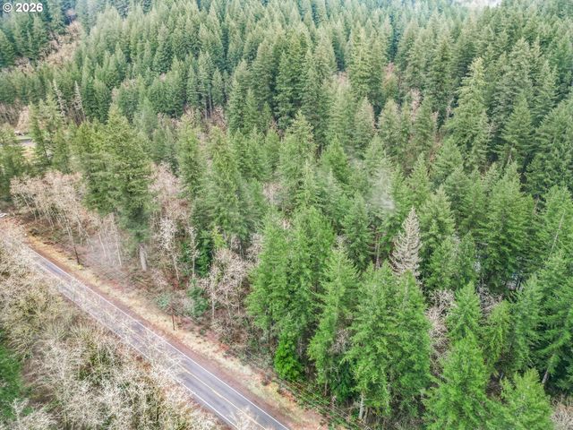 WASHOUGAL RIVER Rd, Washougal, WA 98671