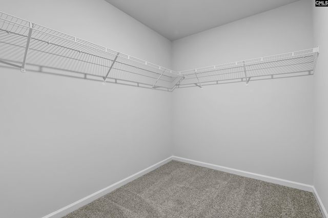 556 Corkscrew Lane, Blythewood, SC 29016