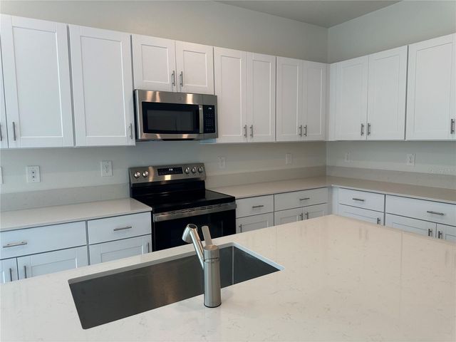 9896 DANCING GOAT PLACE, Land O Lakes, FL 34638