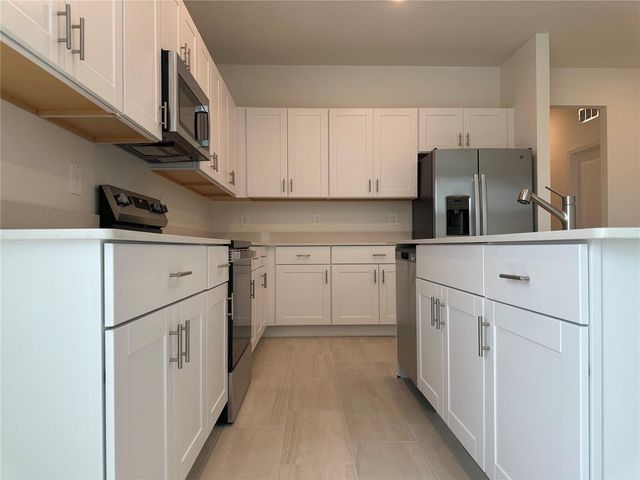 9896 DANCING GOAT PLACE, Land O Lakes, FL 34638