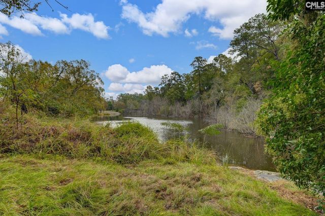 117 Summerfield Drive, Lexington, SC 29072