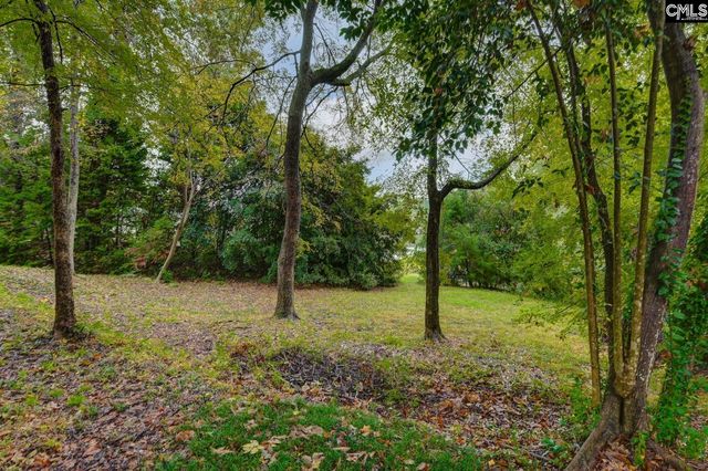 117 Summerfield Drive, Lexington, SC 29072