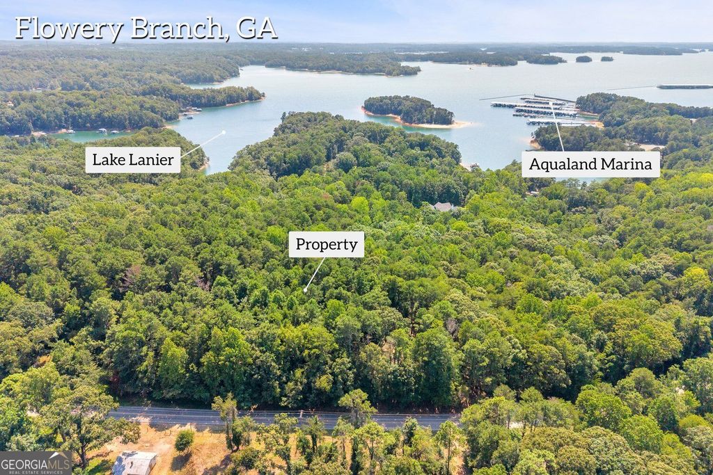 6409 Lights Ferry Road, Flowery Branch, GA 30542 — photo 4