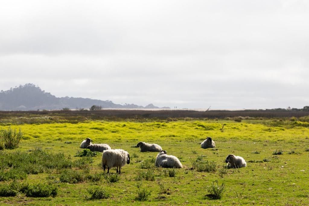 Image 43 of property listing at 3017 Lasuen Drive, Carmel, CA 93923