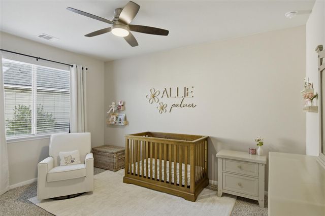 8152 Daisy Cutter XING, Georgetown, TX 78626