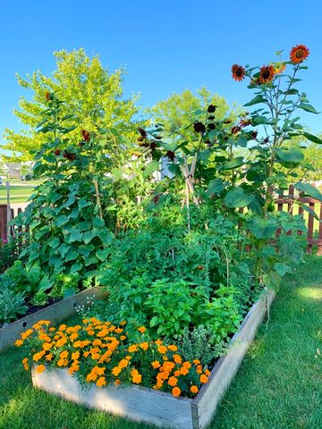 26049 S White Oak Trail, Channahon, IL 60410