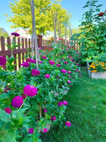 26049 S White Oak Trail, Channahon, IL 60410