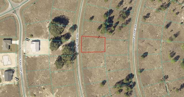 MAPLE LN WAY, Ocklawaha, FL 32179