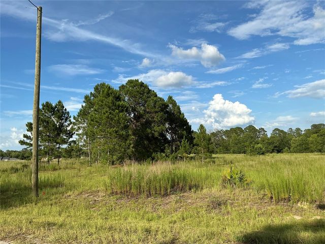 MAPLE LN WAY, Ocklawaha, FL 32179