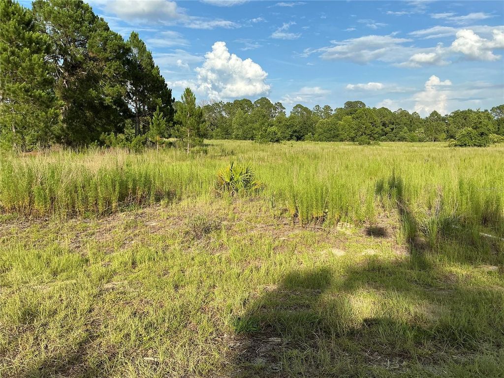 MAPLE LN WAY, Ocklawaha, FL 32179
