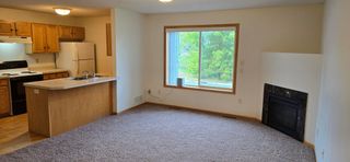 5293 Manchester Drive 4, Maple Plain, MN 55359