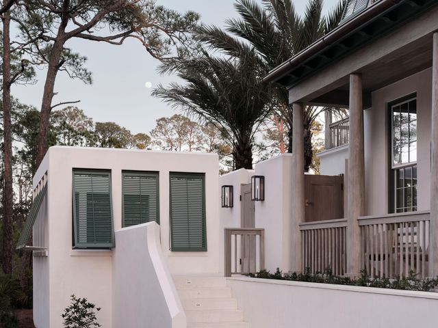 117 Featherbed Aly, Alys Beach, FL 32461