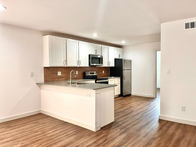 125 E 8th Street 206, Dallas, TX 75203