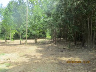 5220 Cr 8, Pansey, AL 36370
