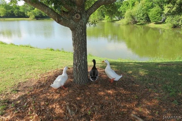 3705 Lockwood Lane, Montgomery, AL 36111