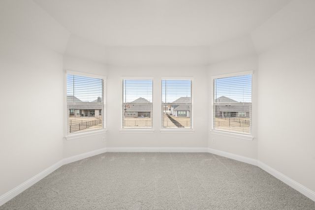 318 Bowrider Lane, Granbury, TX 76049