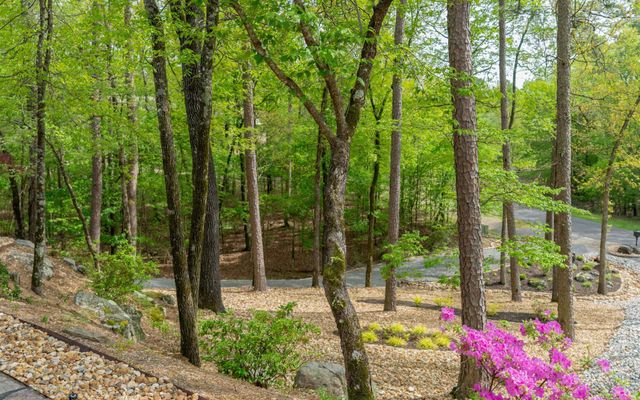 8 Darro Way, Hot Springs Village, AR 71909