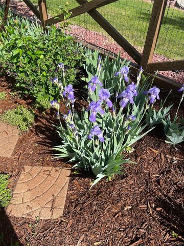 14881 E 116th Drive, Commerce City, CO 80603