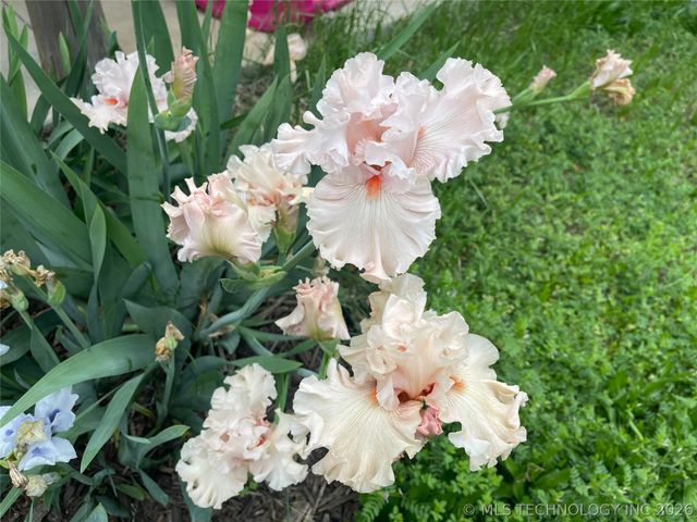 4920 E 73rd Street S, Muskogee, OK 74403