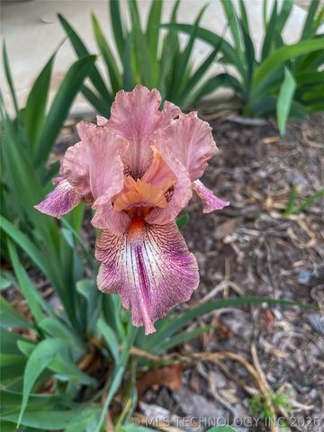 4920 E 73rd Street S, Muskogee, OK 74403