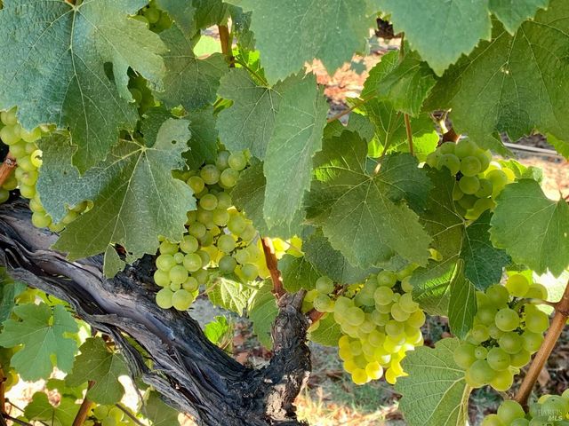 4605 Gravenstein Hwy N, Sebastopol, CA 95472