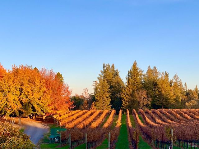 4605 Gravenstein Hwy N, Sebastopol, CA 95472