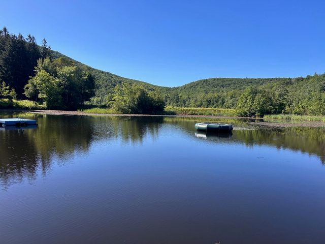 509 Thompson Pond Road, Pownal, VT 05261