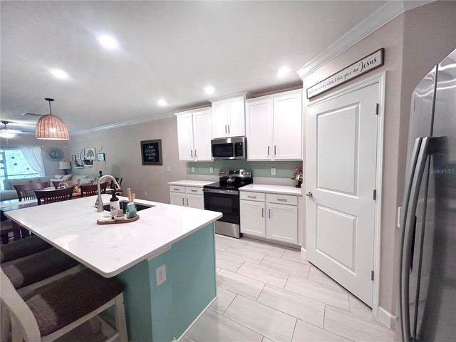 16964 FORGE SURF STREET, Land O Lakes, FL 34638