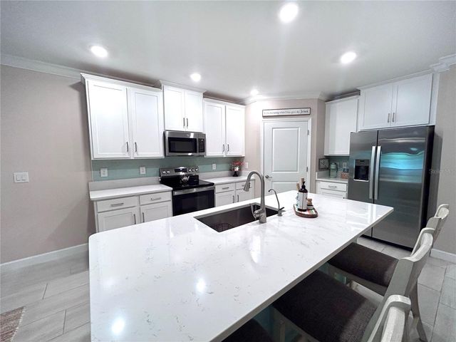 16964 FORGE SURF STREET, Land O Lakes, FL 34638