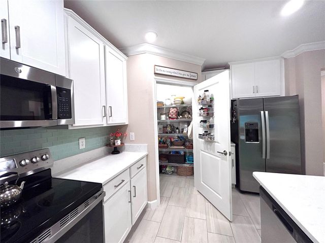 16964 FORGE SURF STREET, Land O Lakes, FL 34638